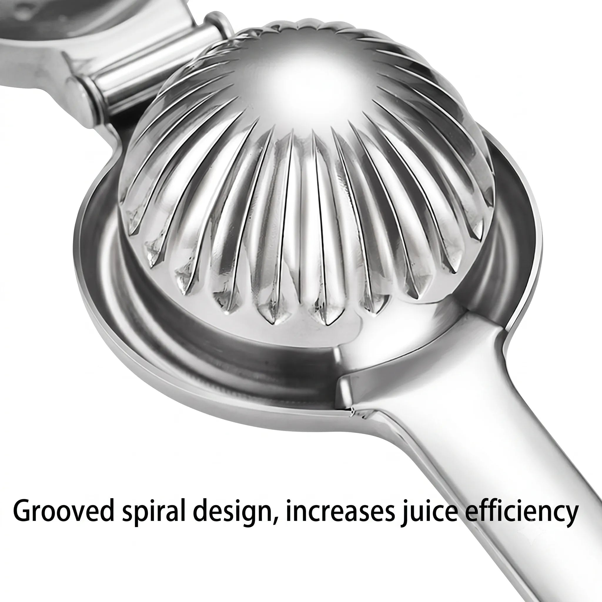 Stainless Steel Citrus Juicer