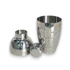 Ice-Crackle Etched Cobbler Shaker