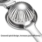 Stainless Steel Citrus Juicer
